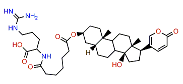 3-(N-Pimeloyl argininyl)-hydroxytelocinobufagin